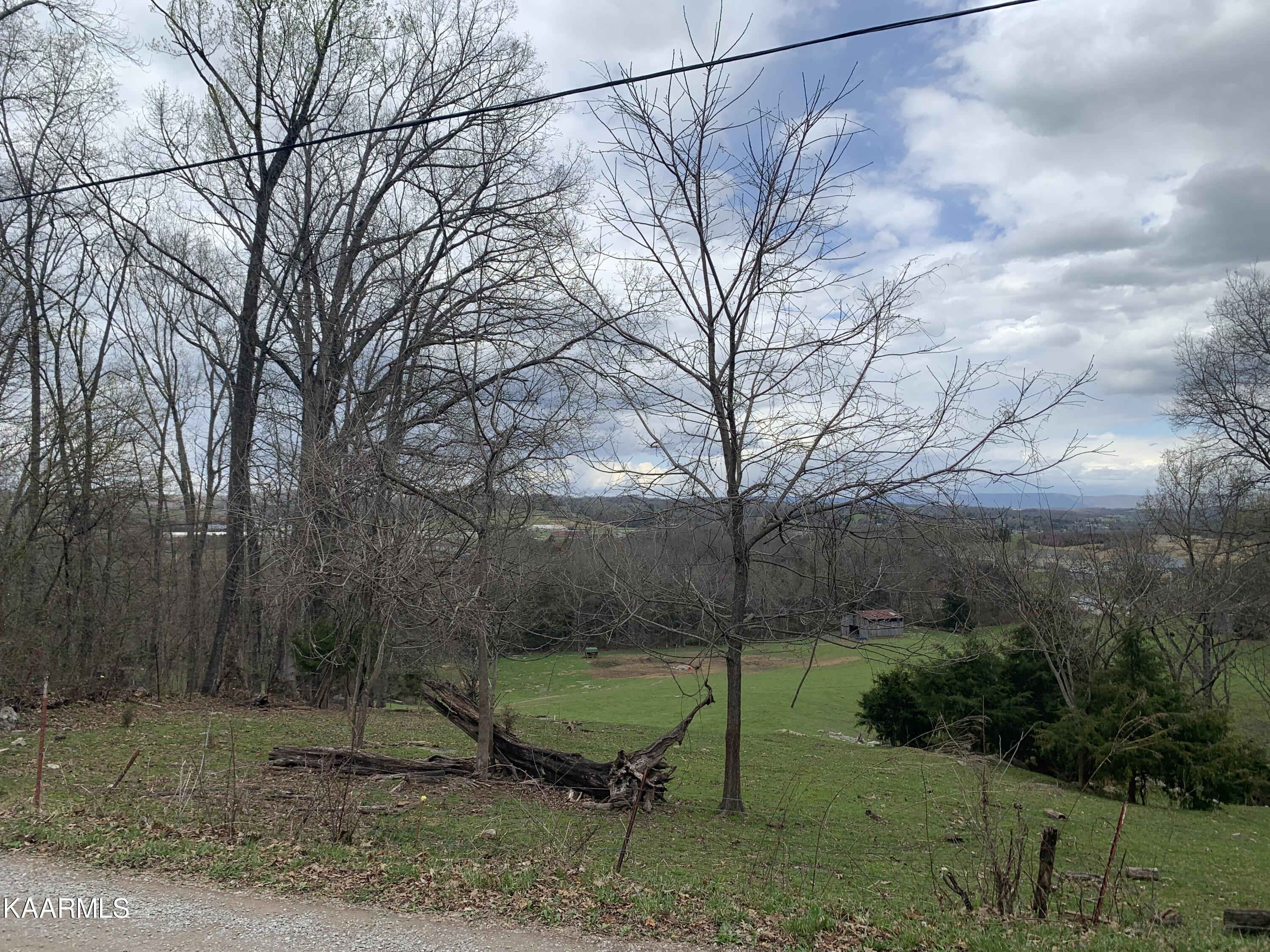 840 Blue Top Road Tazewell, TN 37879 - Photo 46 of 55 1D4F120C-03CD-4C5D-8098-2C3574E11DC0