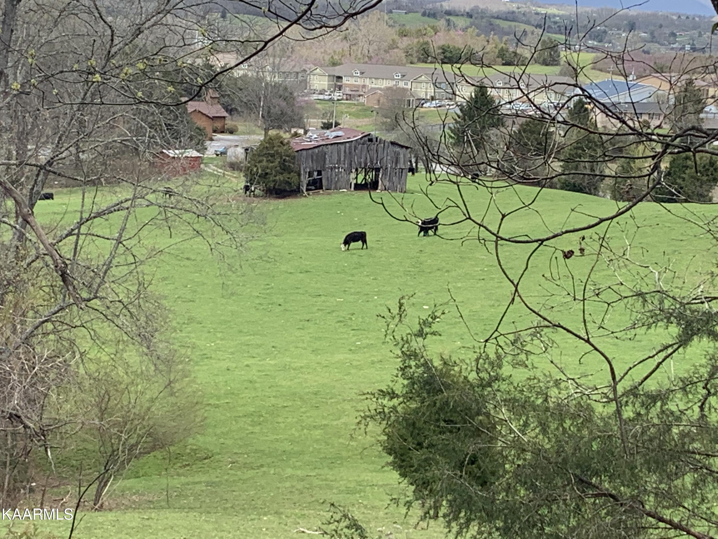 840 Blue Top Road Tazewell, TN 37879 - Photo 47 of 55 ACDC6CE5-3ACD-41B5-9093-44EEF0D307B7