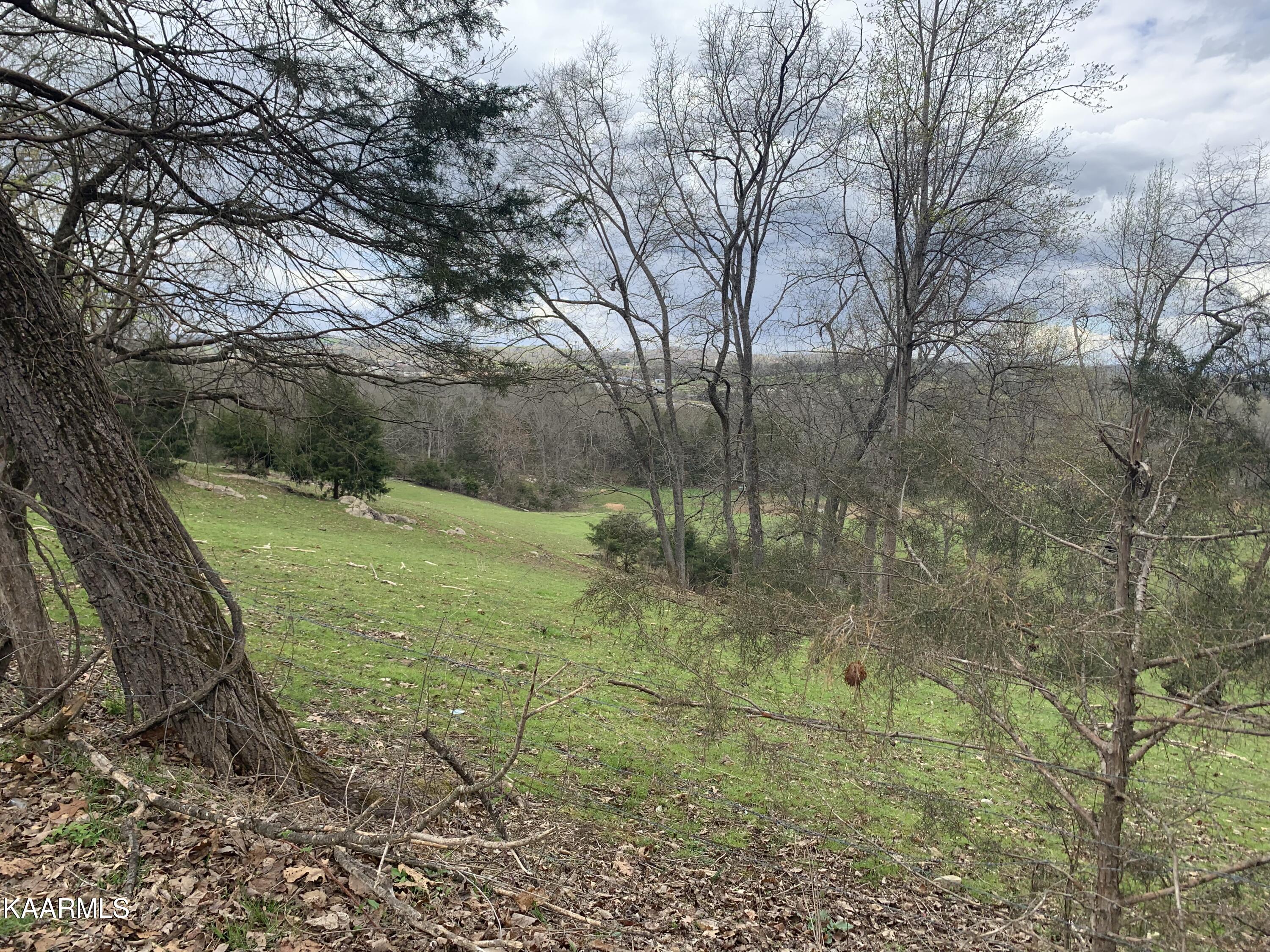 840 Blue Top Road Tazewell, TN 37879 - Photo 48 of 55 5657C3EA-976D-49E6-B17E-5E2C717A3705
