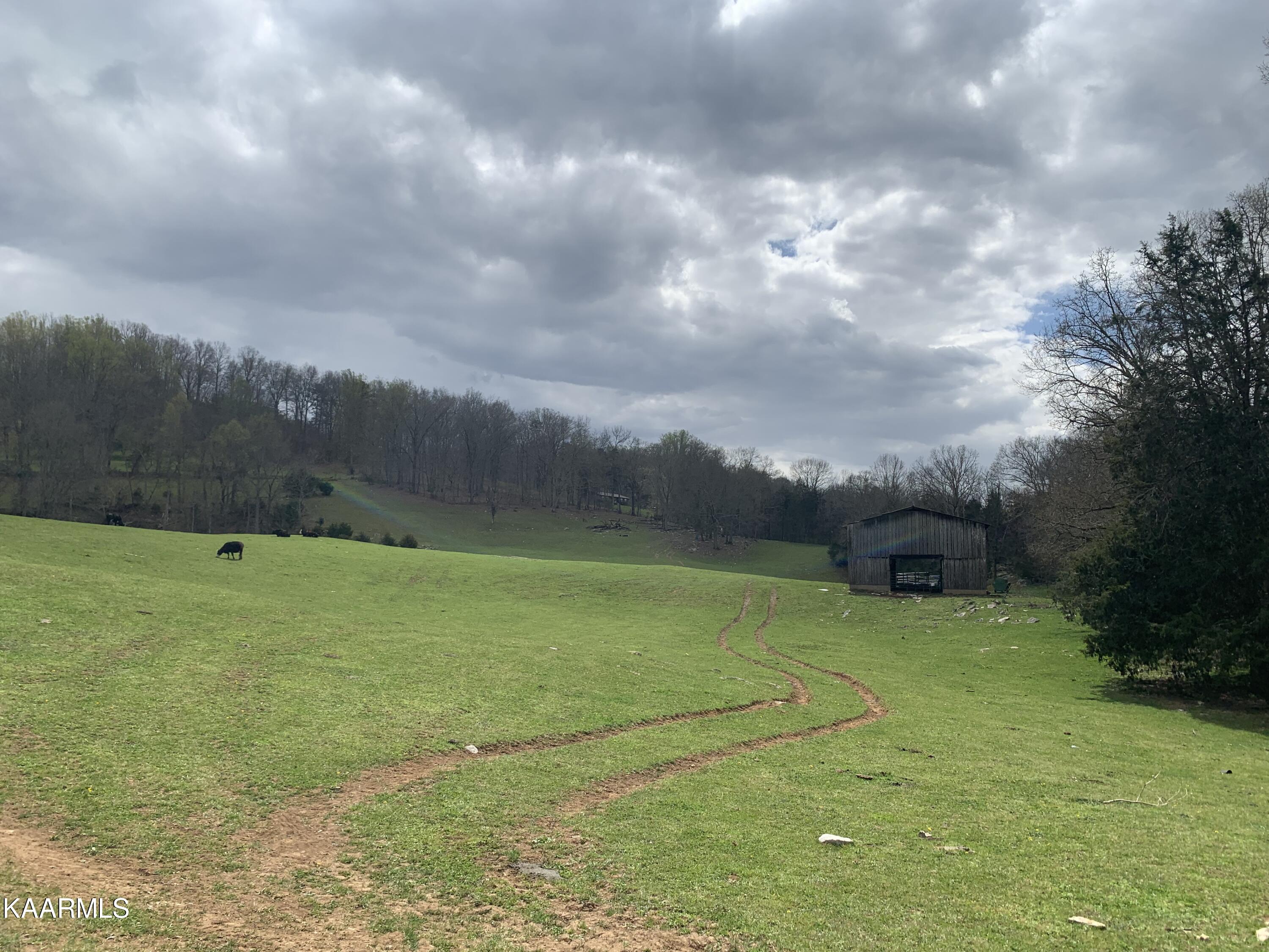 840 Blue Top Road Tazewell, TN 37879 - Photo 49 of 55 3A00E054-946E-4D63-8FDA-E651CC4A3D49
