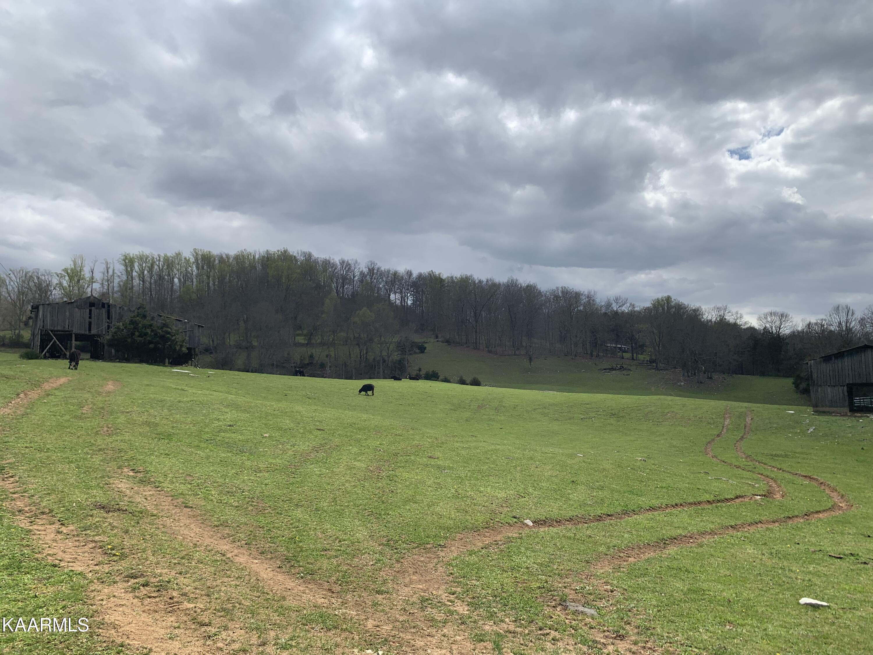 840 Blue Top Road Tazewell, TN 37879 - Photo 50 of 55 E5B3E6A2-2AE4-47BE-900A-A59121211FCB