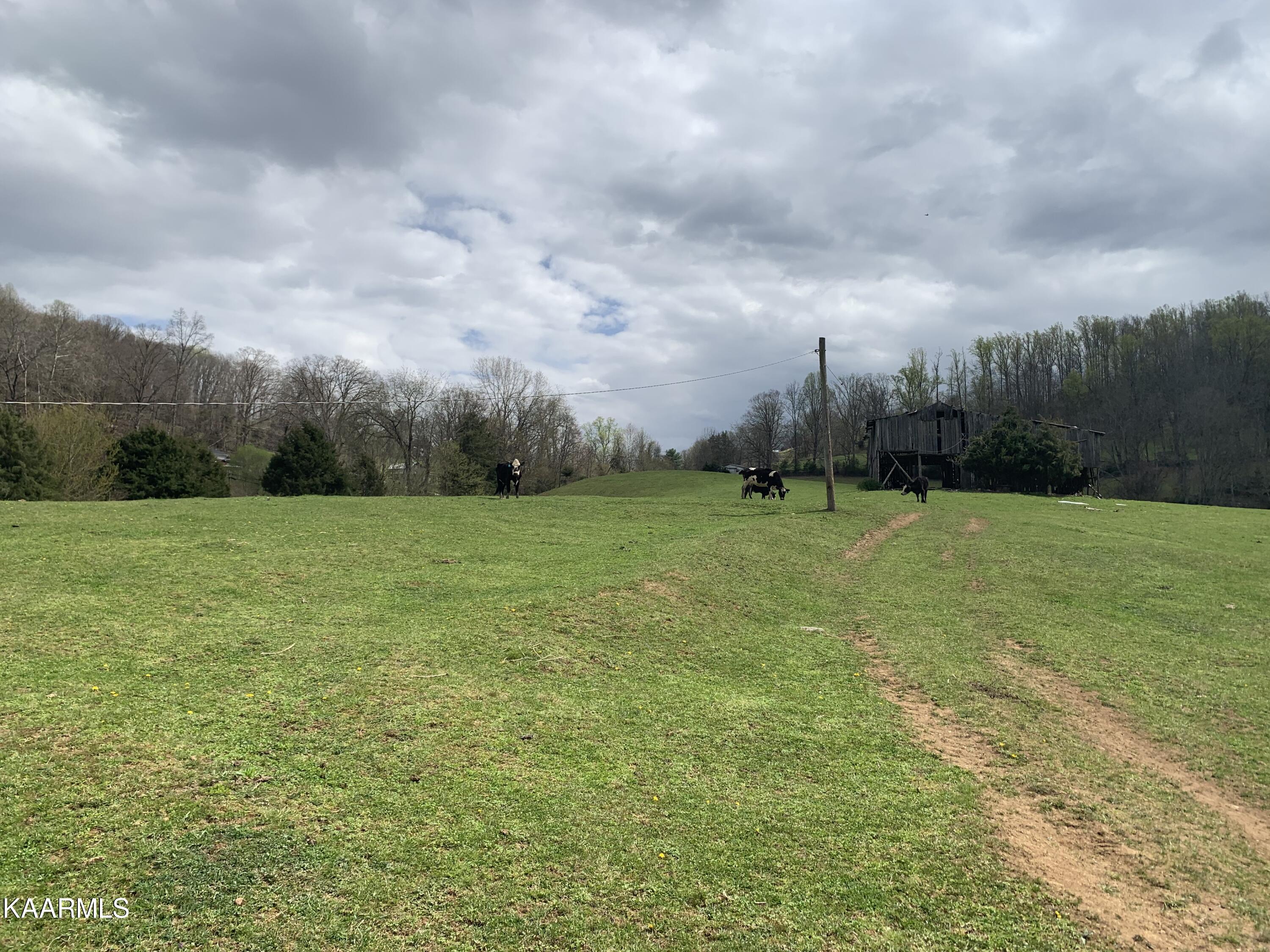 840 Blue Top Road Tazewell, TN 37879 - Photo 51 of 55 F78EA44B-75C0-48E4-BEBD-EC4911EAD9F6