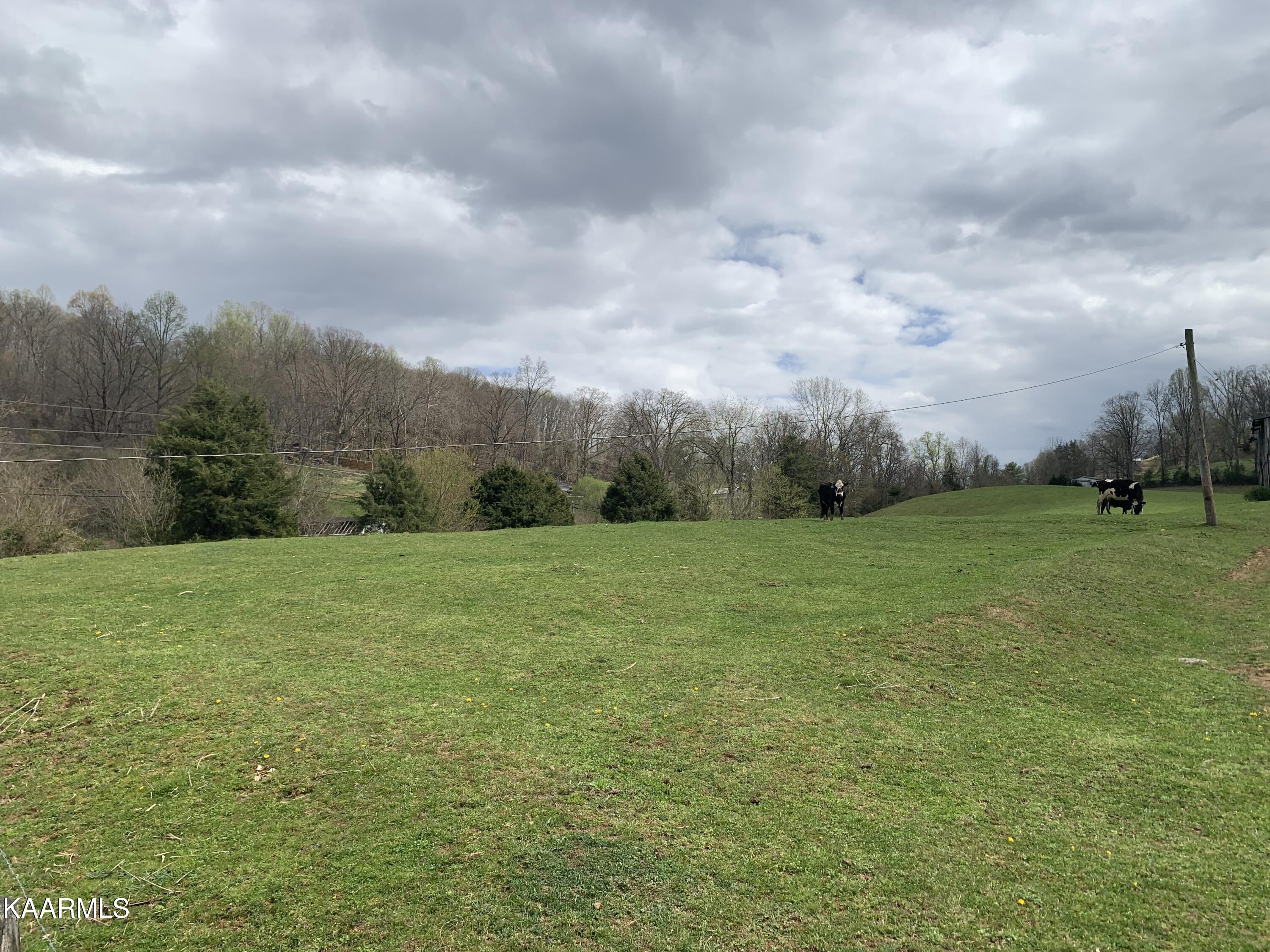840 Blue Top Road Tazewell, TN 37879 - Photo 52 of 55 F07E007E-5EA7-4B92-AAC1-88BCF8B4A5D5