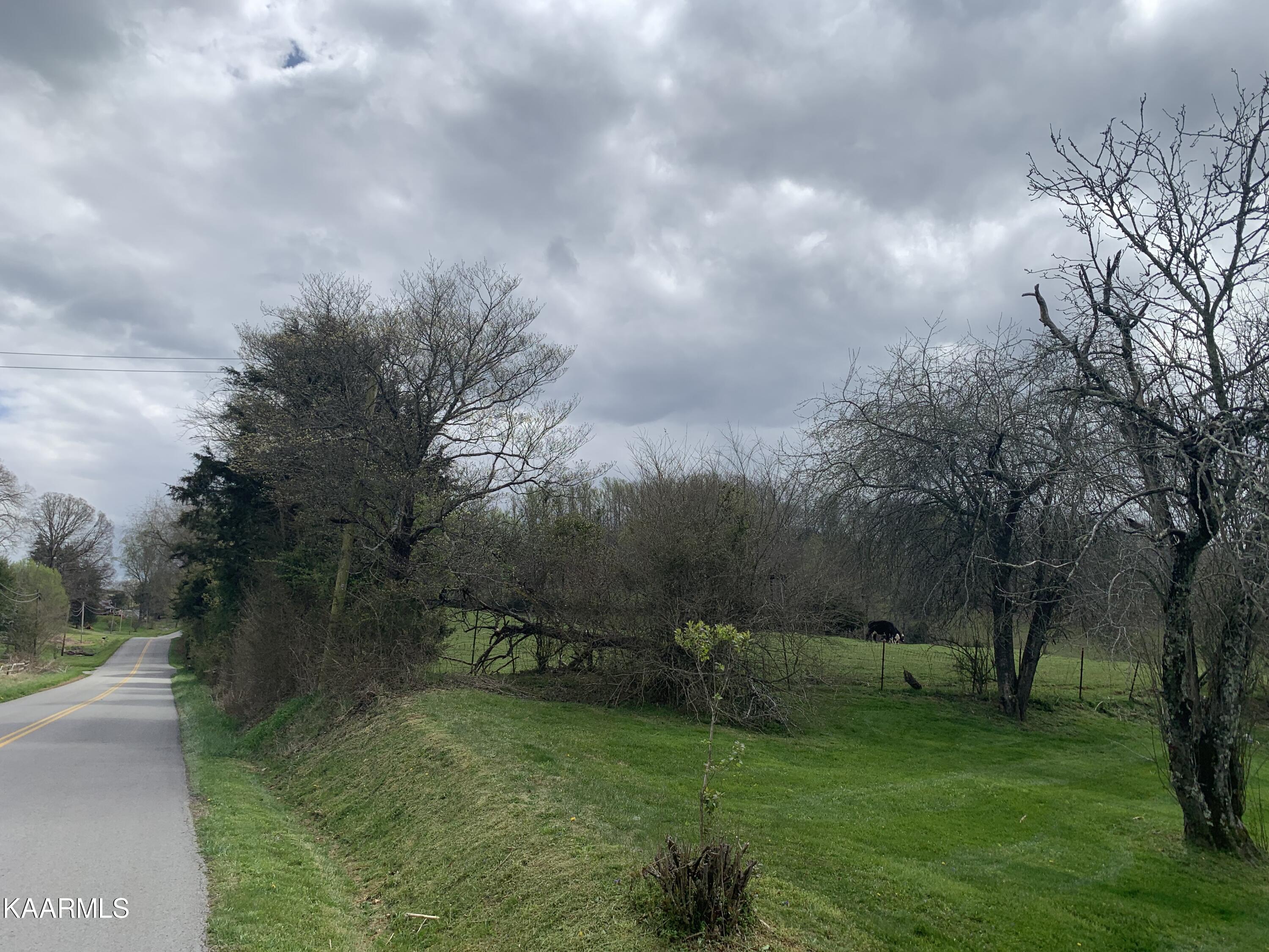 840 Blue Top Road Tazewell, TN 37879 - Photo 53 of 55 20EF3E5C-19F5-4279-84B0-8E20D1BC7CB1