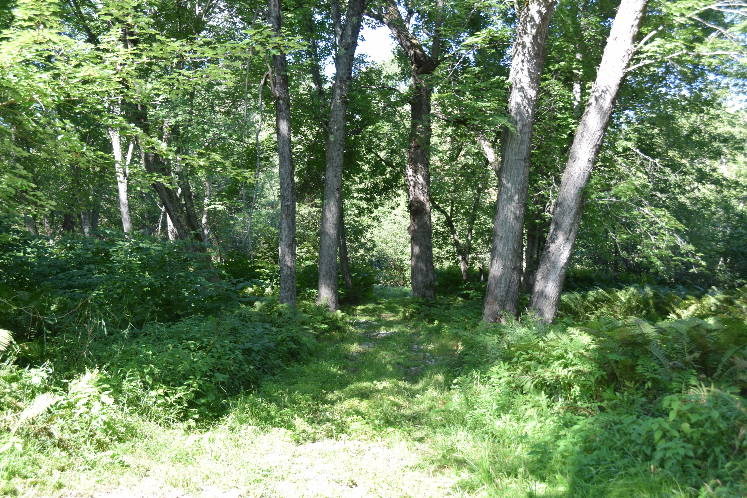 71 Birch Road New Portland, ME 04961 - Photo 75 of 100 DSC_0055
