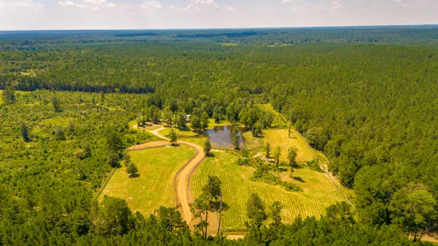 $499,000 | 375 County Road 3560, Woodville, TX 75979