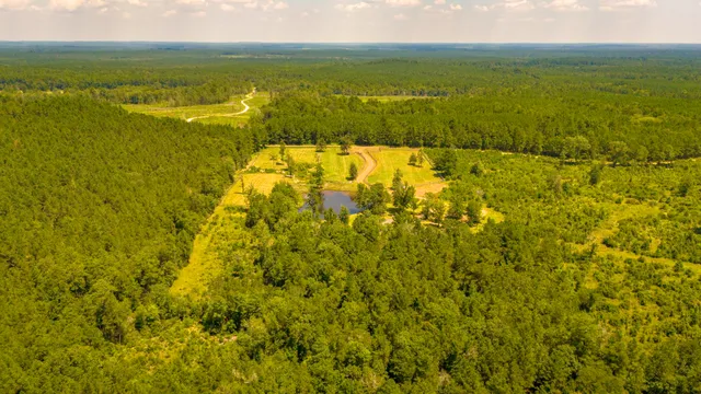 $499,000 | 375 County Road 3560, Woodville, TX 75979