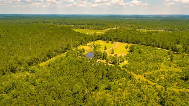 $499,000 | 375 County Road 3560, Woodville, TX 75979