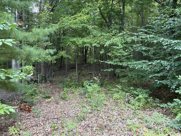 $50,500 | 62 North 14th Avenue, Mears, MI 49436