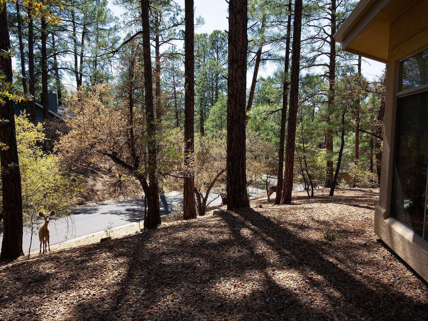 1925 Coyote Road Prescott, AZ 86303 - Photo 23 of 26 Front Yard View With Wildlife
