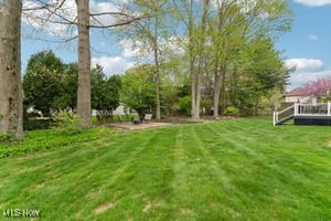 344 Longspur Road Highland Heights, OH 44143 - Photo 46 of 50 View of yard