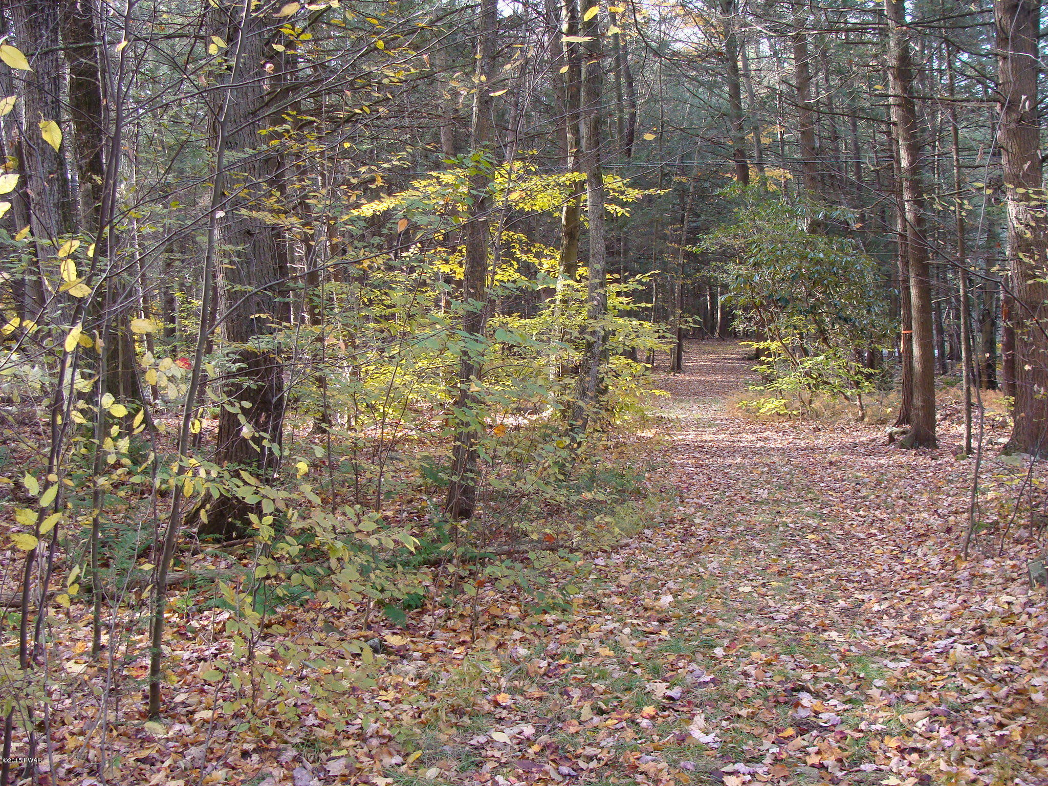 Beaver Dam Road Greentown, PA 18426 - Photo 2 of 6