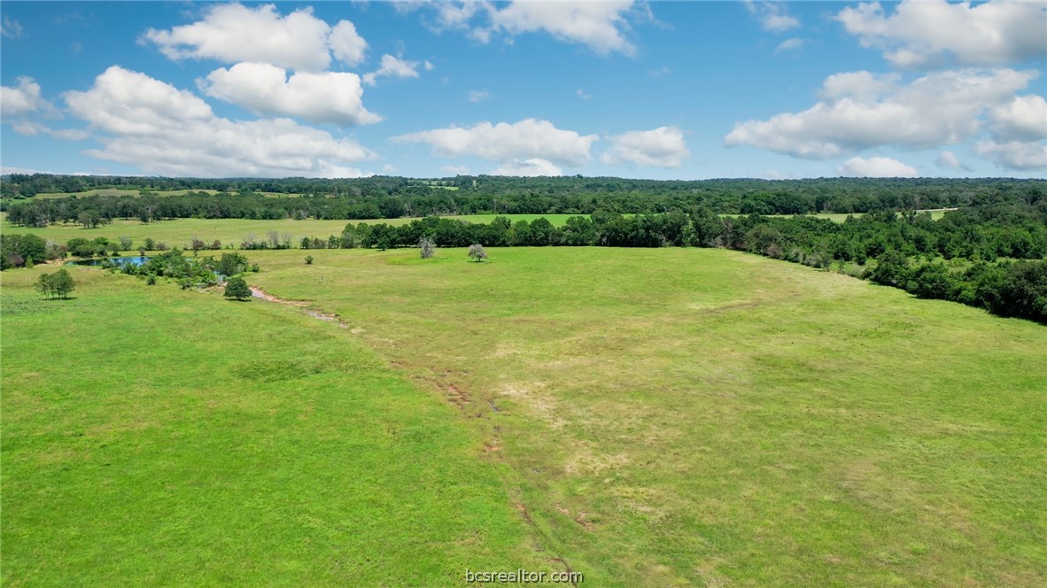 Tbd Mitch McMillan Road Franklin, TX 77856 - Photo 5 of 11 a view of a golf course with swimming pool