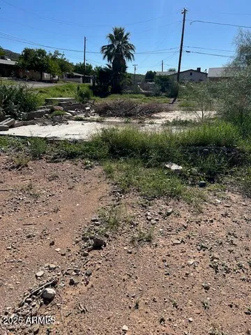 a view of a dry yard with wooden fence