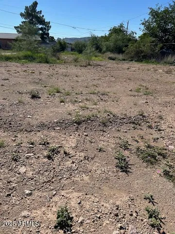 a view of a dry field with trees in the background