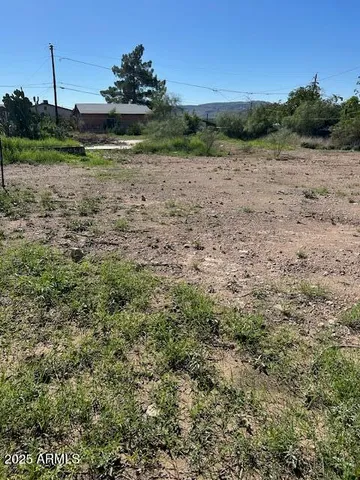 a view of outdoor space and yard