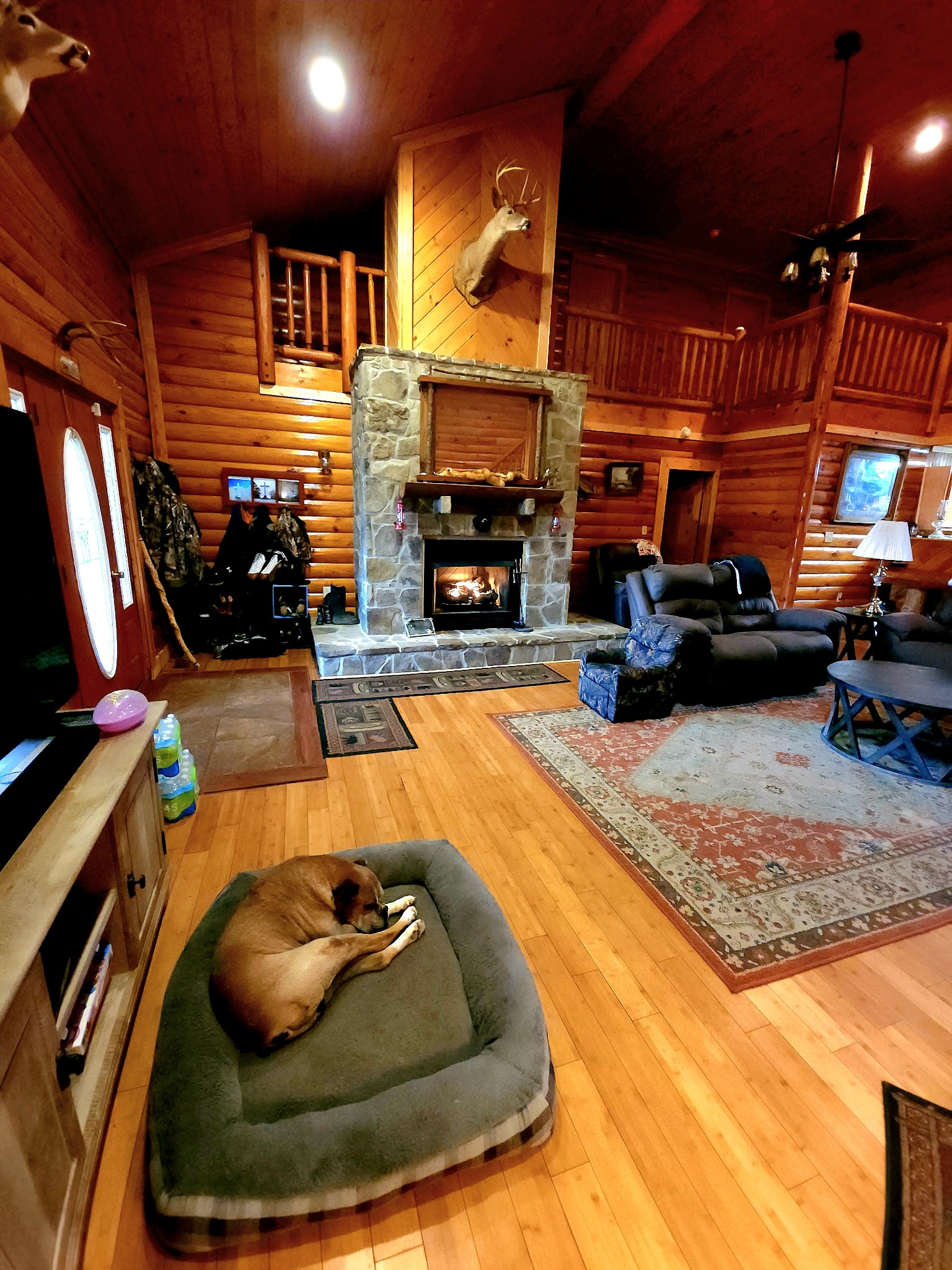 715 Raven Point Road Tracy City, TN 37387 - Photo 60 of 70 Gallery Image 60