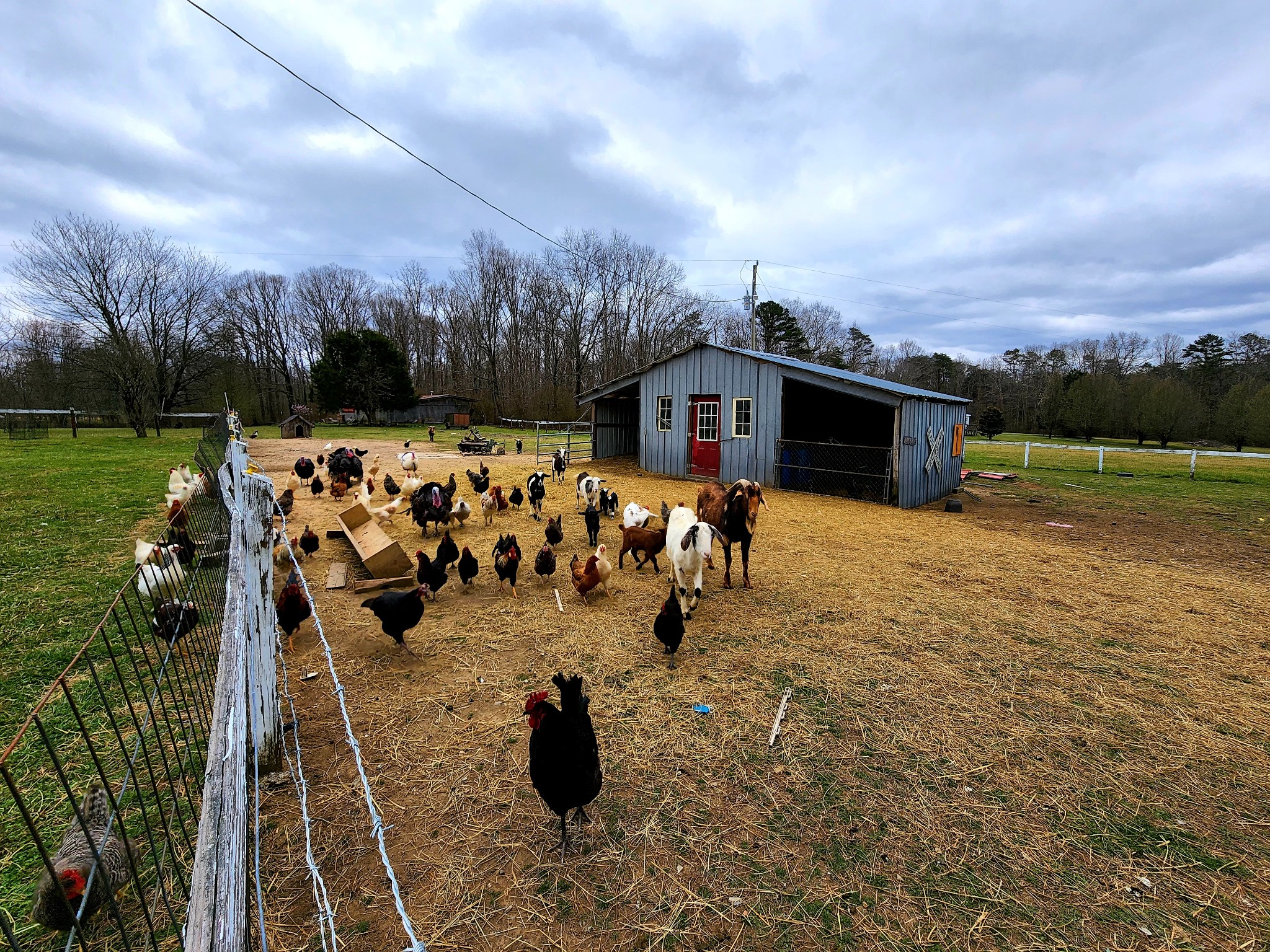 715 Raven Point Road Tracy City, TN 37387 - Photo 67 of 70 Gallery Image 67