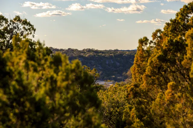a view of a bunch of trees