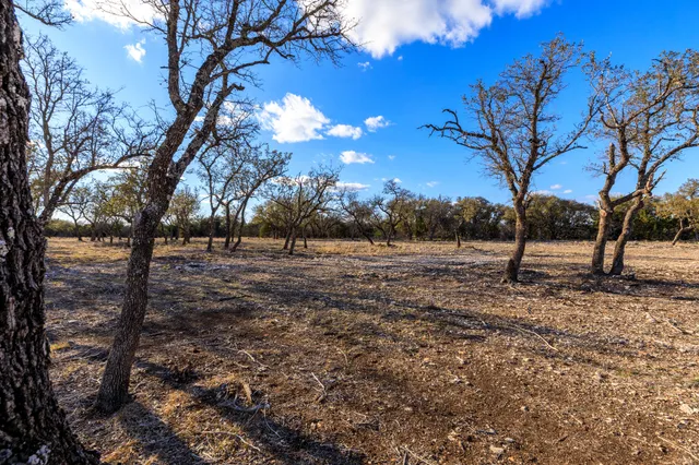 a view of outdoor space with lots of trees