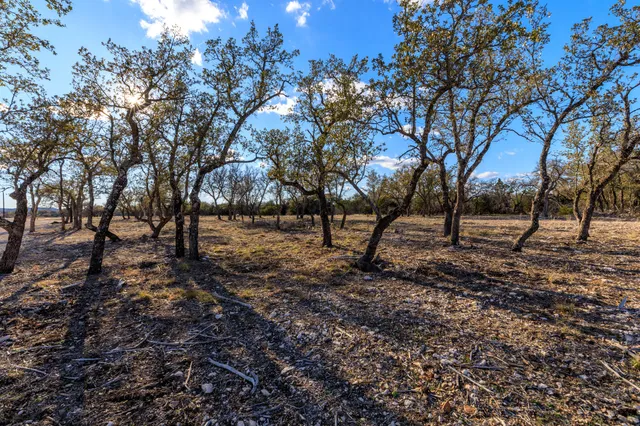 a view of outdoor space with lots of trees