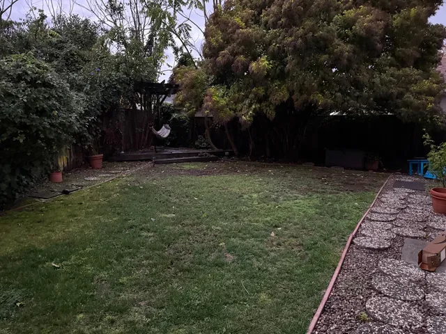 a view of a yard with plants and trees