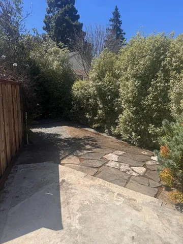 a view of path along with trees