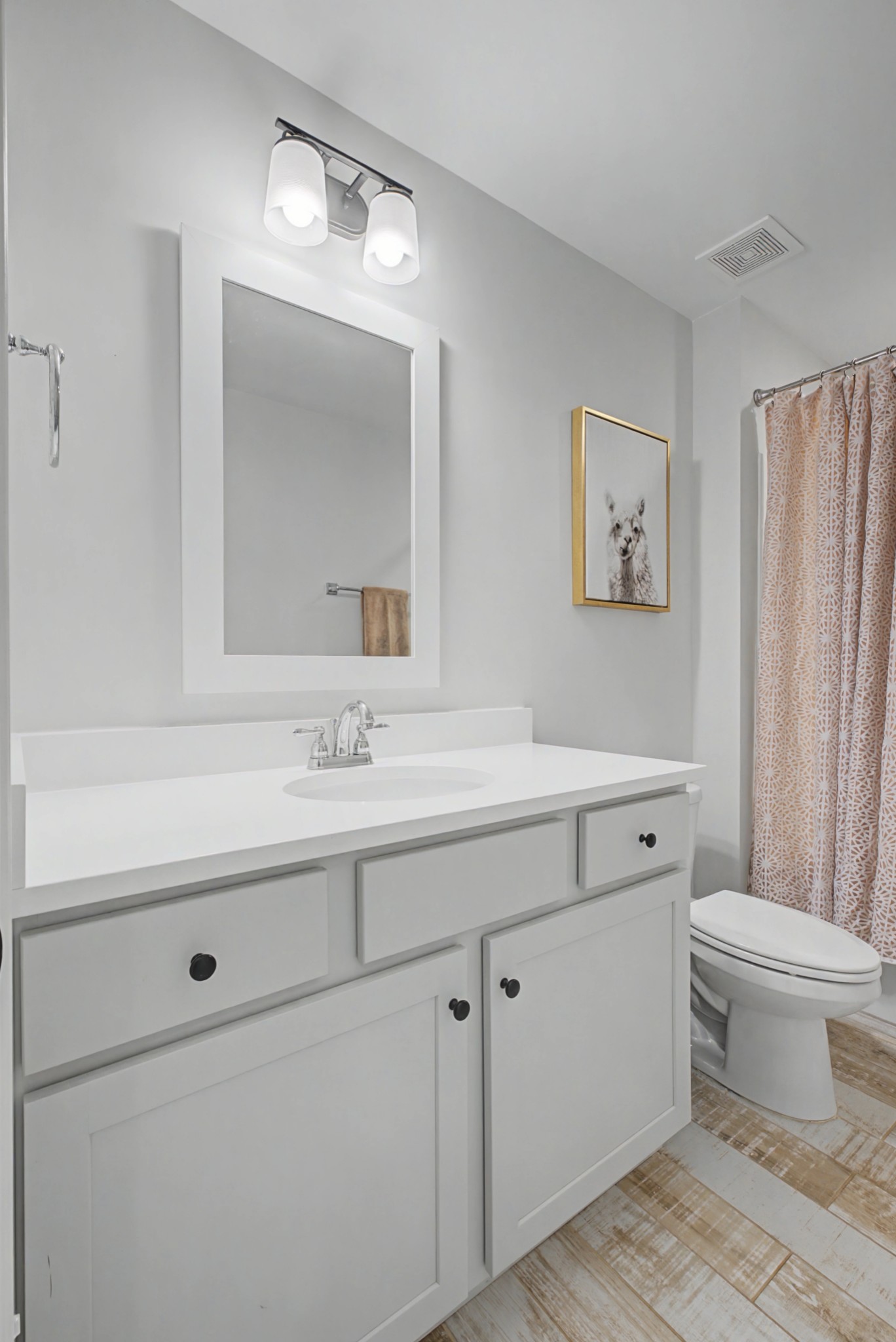 837 Plowson Road Mount Juliet, TN 37122 - Photo 28 of 44 a bathroom with a toilet a sink and mirror
