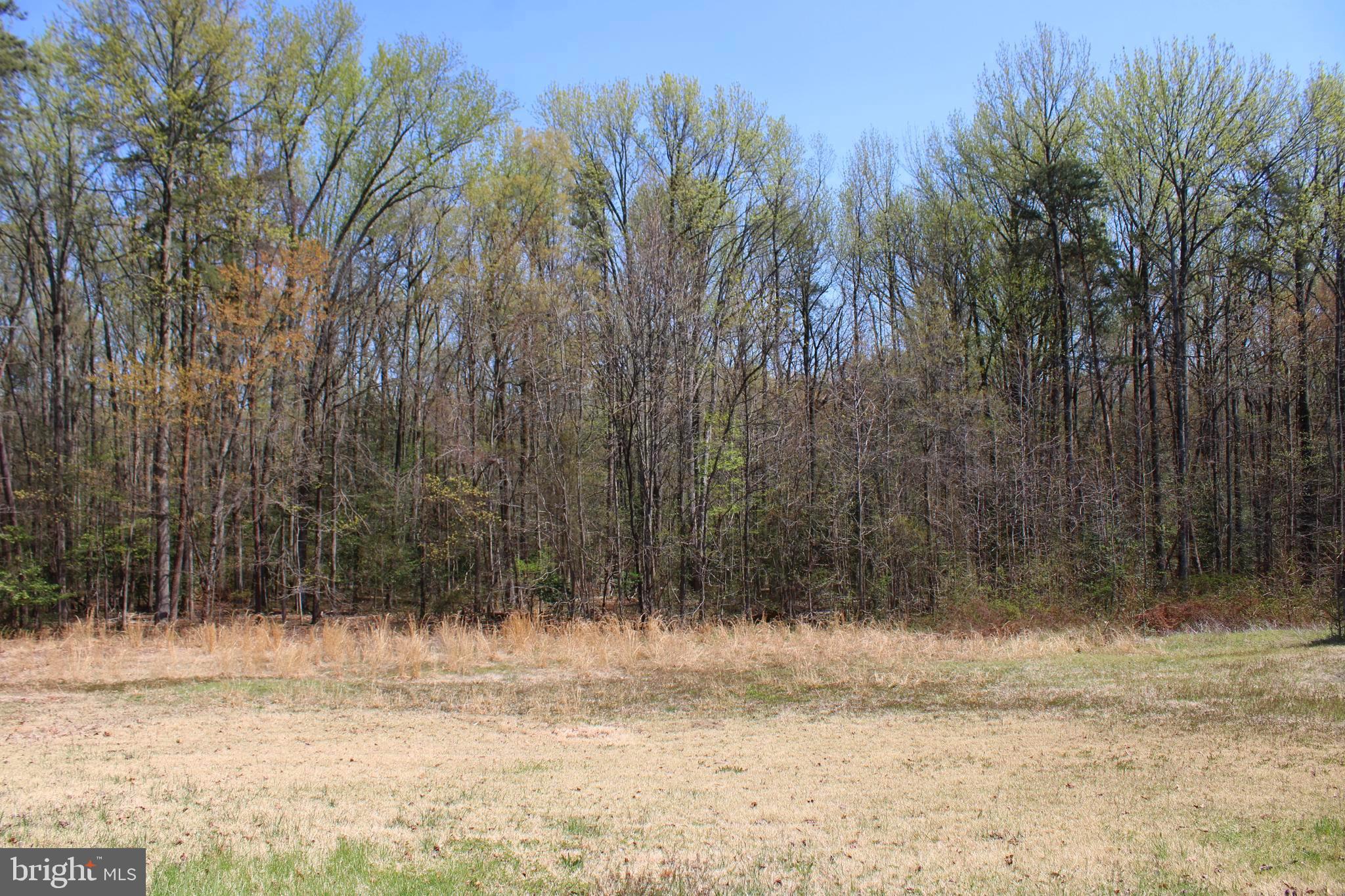 4346 Mountain Road Pasadena, MD 21122 - Photo 45 of 50