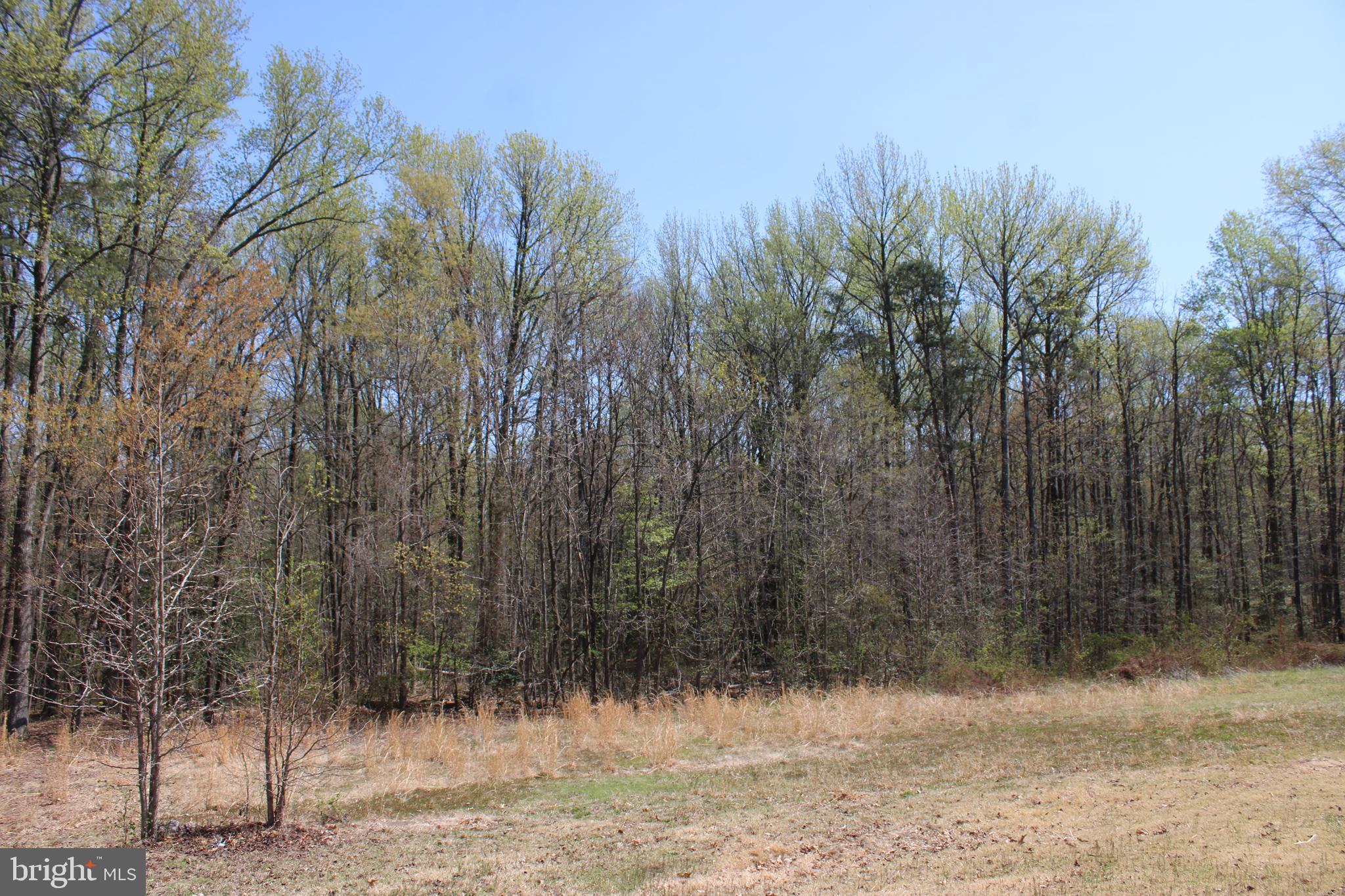 4346 Mountain Road Pasadena, MD 21122 - Photo 49 of 50