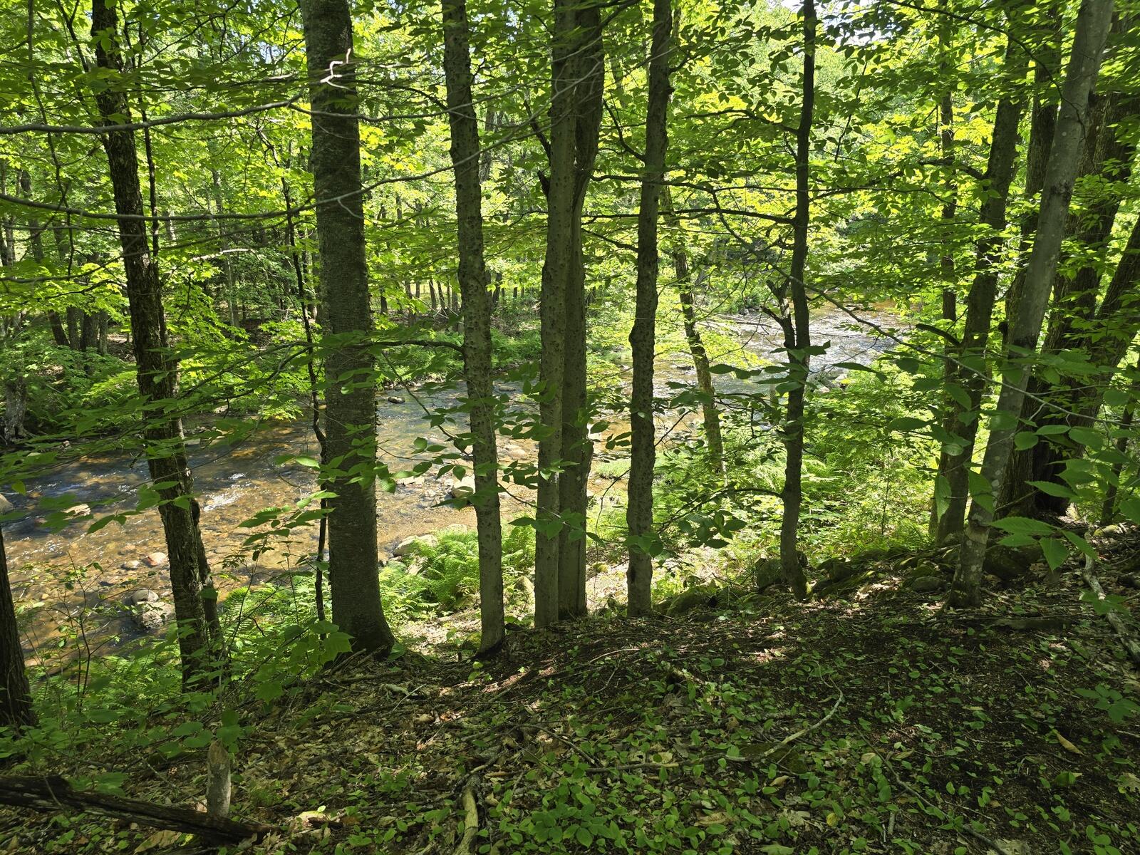 Lot 67 Temple Road Temple, ME 04984 - Photo 10 of 20 20260624_095425