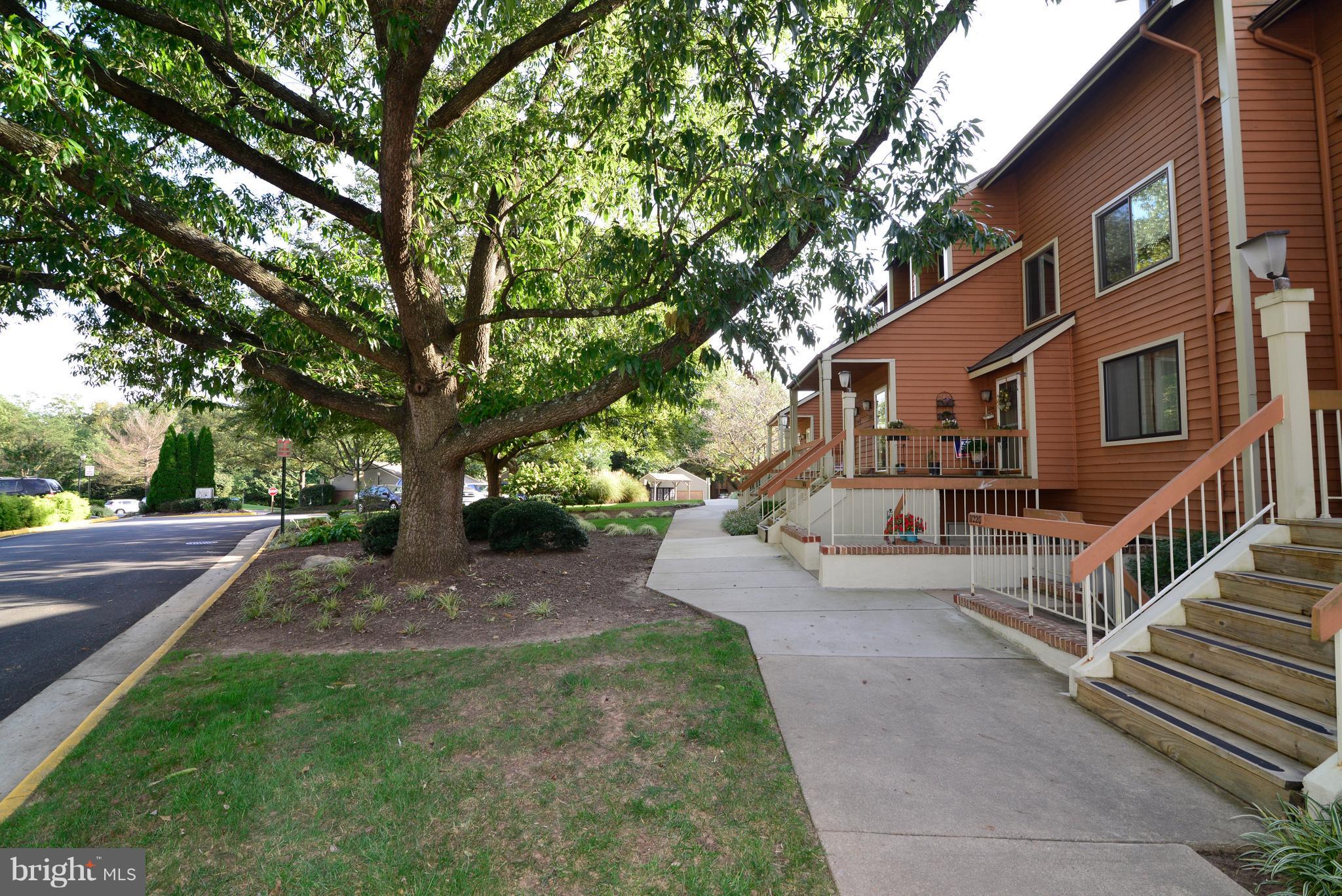 11220 Harbor Court, Unit 11220 Reston, VA 20191 - Photo 2 of 29 Tree-lined sidewalk leads to front entrance.