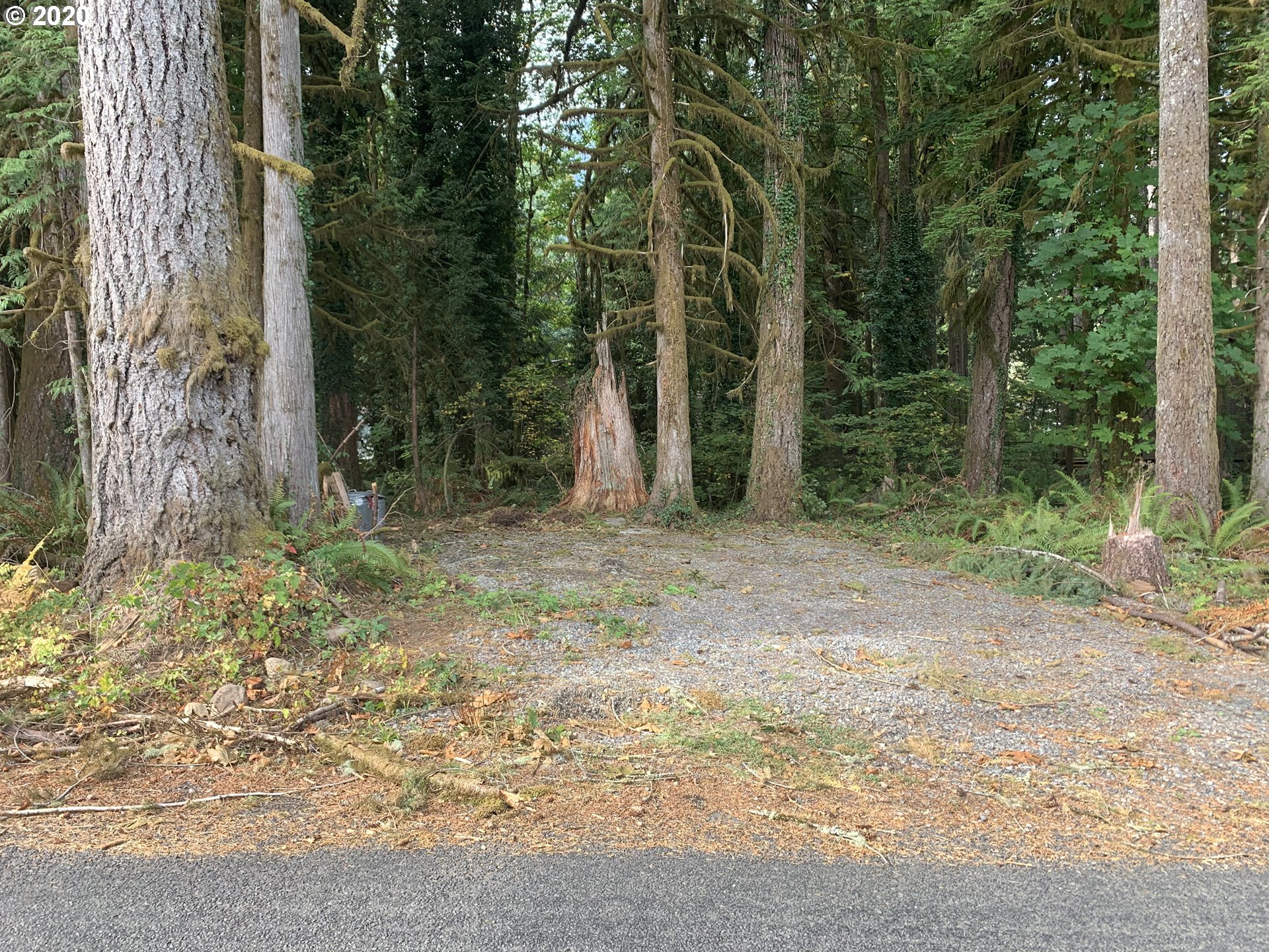 0 East Welches Road Welches, OR 97067 - Photo 1 of 9 Gallery Image 1
