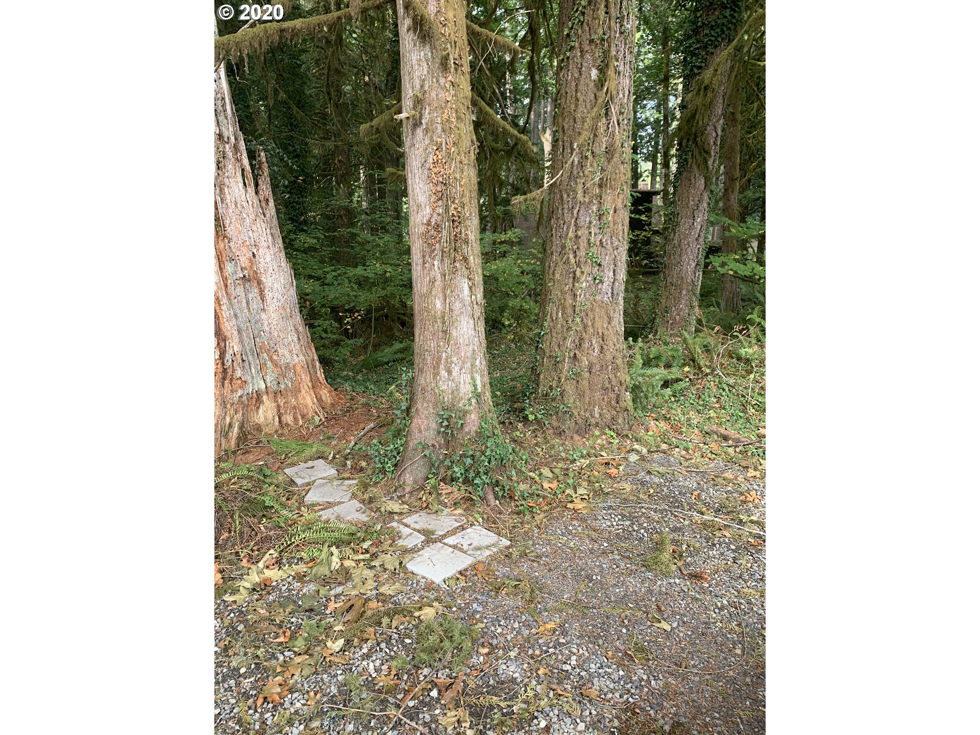 0 East Welches Road Welches, OR 97067 - Photo 2 of 9 Gallery Image 2