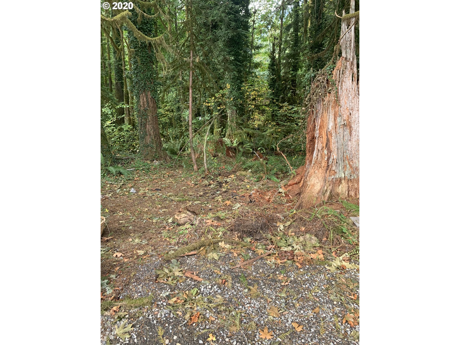 0 East Welches Road Welches, OR 97067 - Photo 5 of 9 Gallery Image 5
