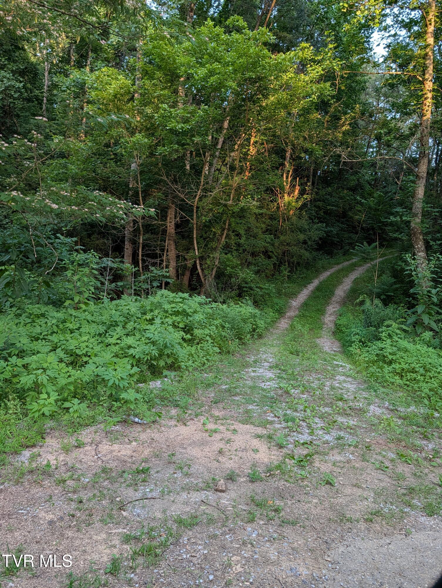701 Old Witt Road, Unit 1 Morristown, TN 37813 - Photo 10 of 14 TL11