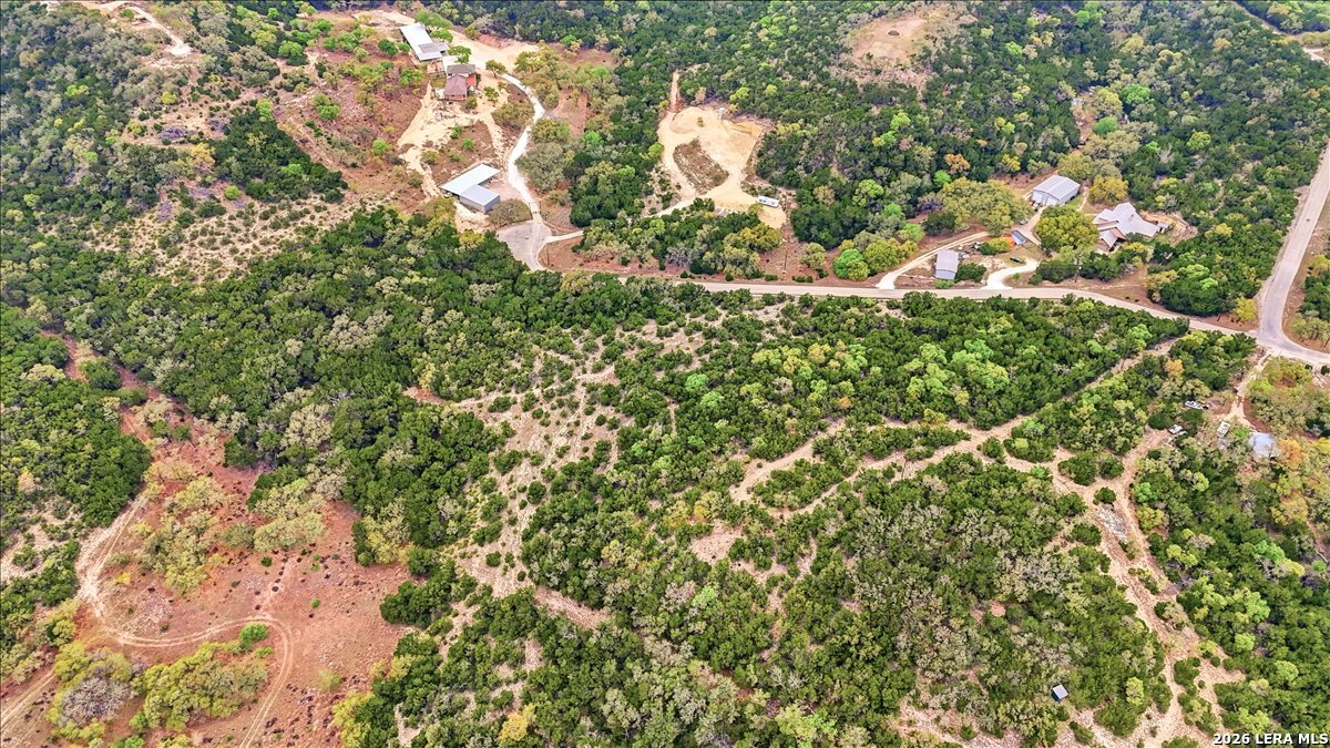 105-109 West Winding Loop Boerne, TX 78006 - Photo 22 of 34 a view of a tree in a garden