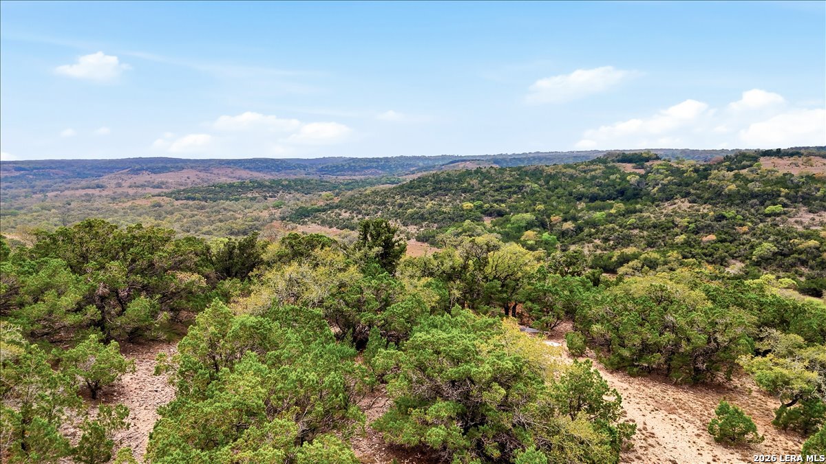 105-109 West Winding Loop Boerne, TX 78006 - Photo 25 of 34 a view of a city with lush green forest