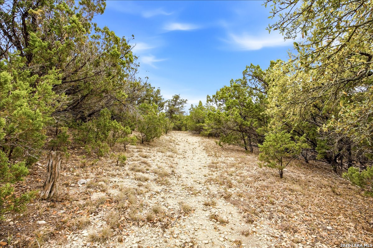 105-109 West Winding Loop Boerne, TX 78006 - Photo 31 of 34 a view of a yard with a tree