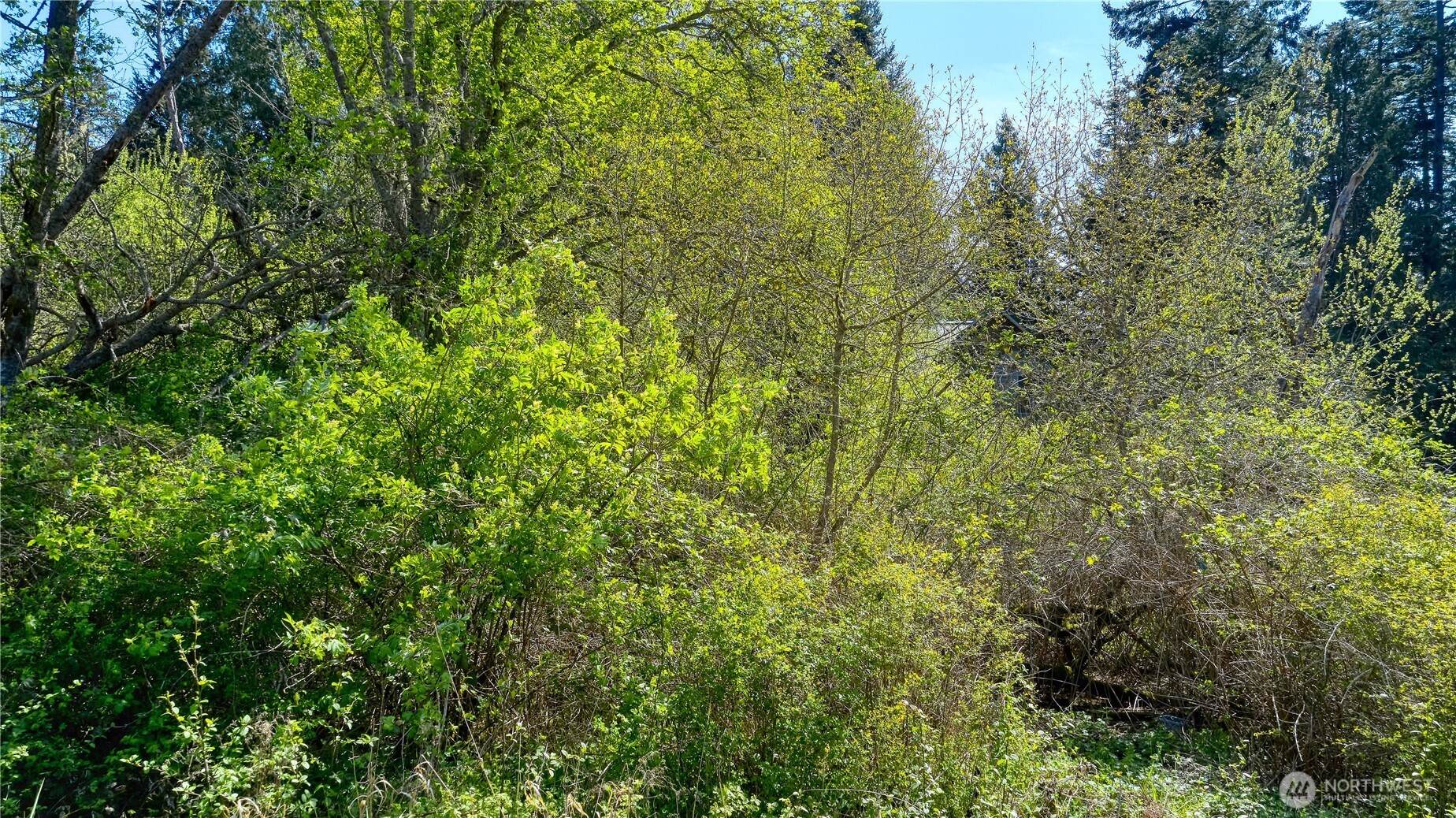 2 Benson Road Point Roberts, WA 98281 - Photo 3 of 21