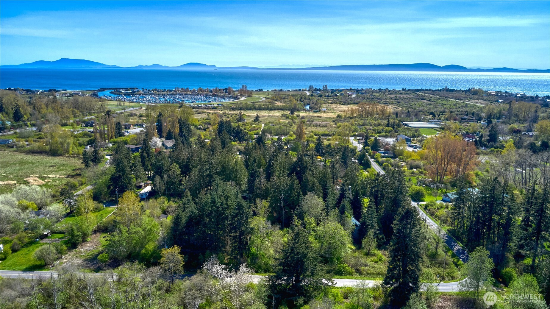 2 Benson Road Point Roberts, WA 98281 - Photo 5 of 21