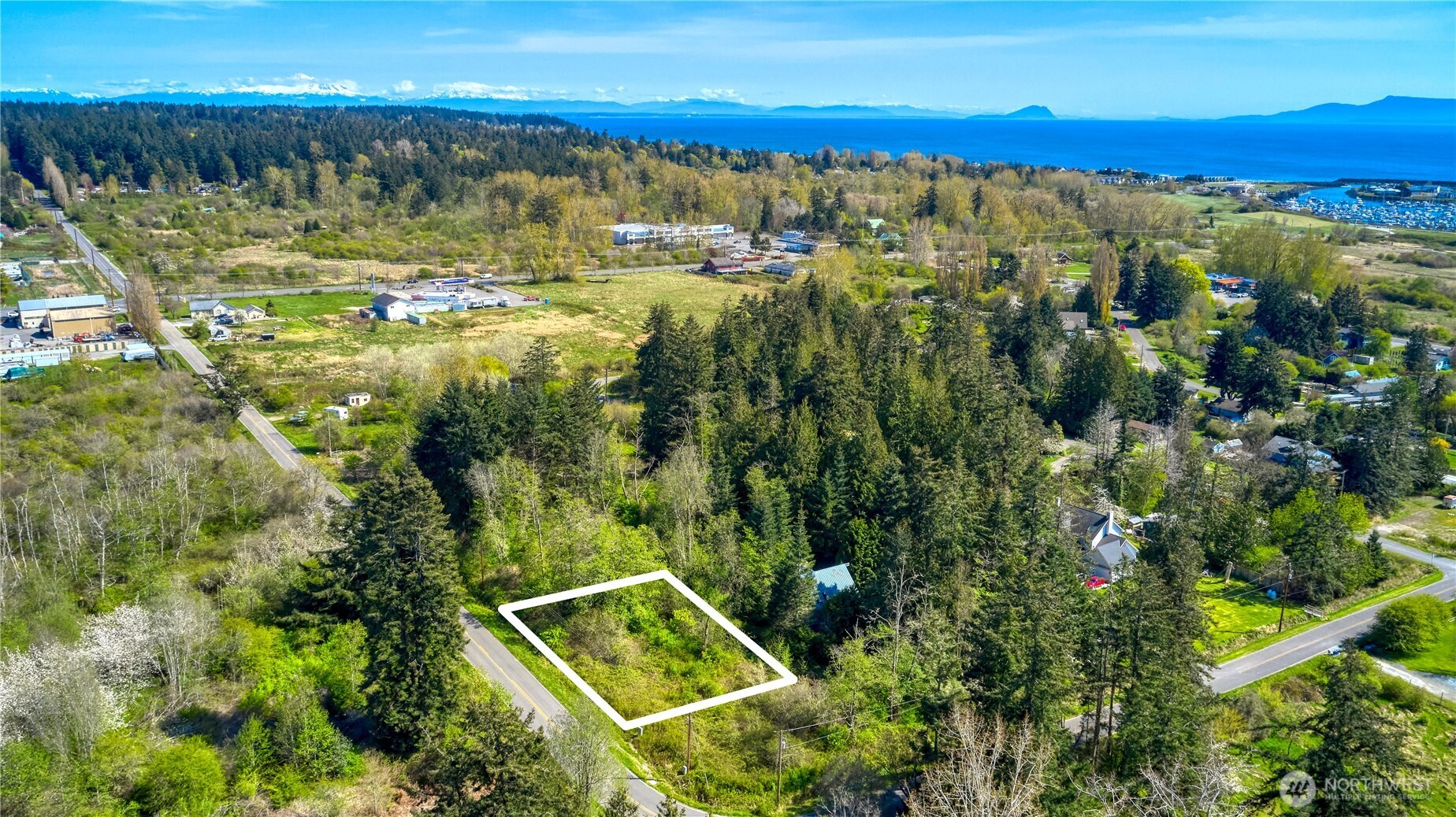 2 Benson Road Point Roberts, WA 98281 - Photo 6 of 21