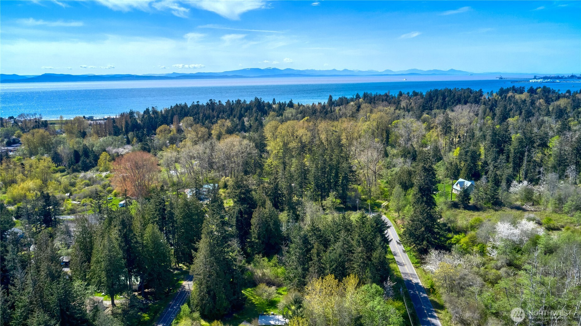 2 Benson Road Point Roberts, WA 98281 - Photo 9 of 21