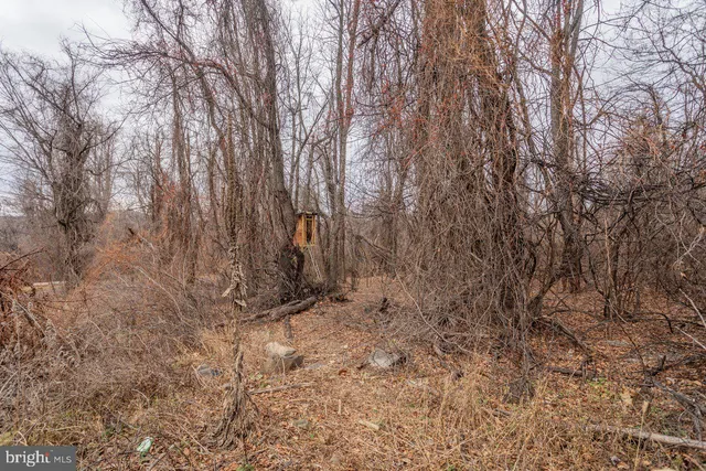 $21,900 | 0 Short Cut Road, Stanley, VA 22851