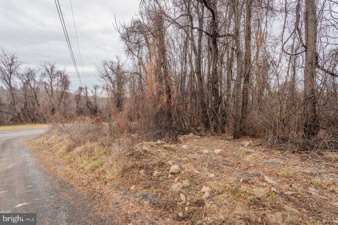 0 Short Cut Road Stanley, VA 22851 - Photo 4 of 23