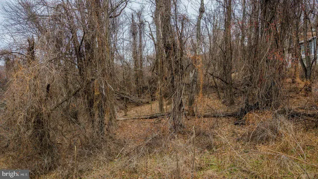 $21,900 | 0 Short Cut Road, Stanley, VA 22851