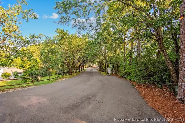 a view of a road with a yard and large trees