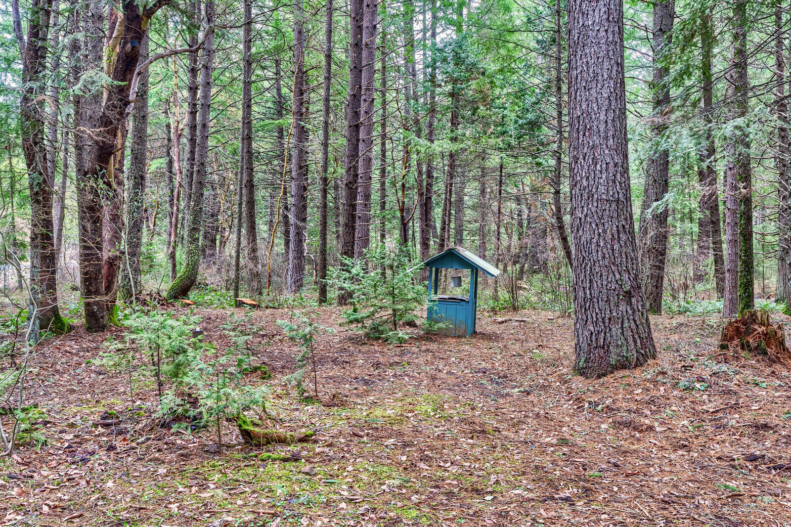 1863 Mill Creek Drive Prospect, OR 97536 - Photo 51 of 53 1863MillCrkDr (53)