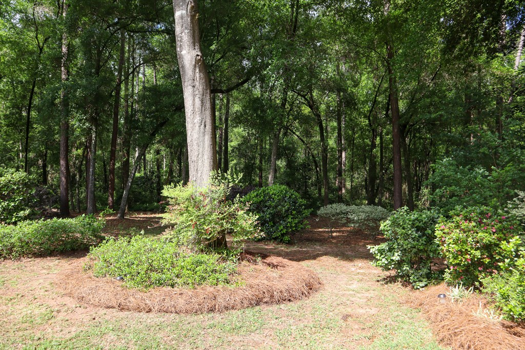 648 Westbrook Road Dothan, AL 36303 - Photo 32 of 59 Gallery Image 32