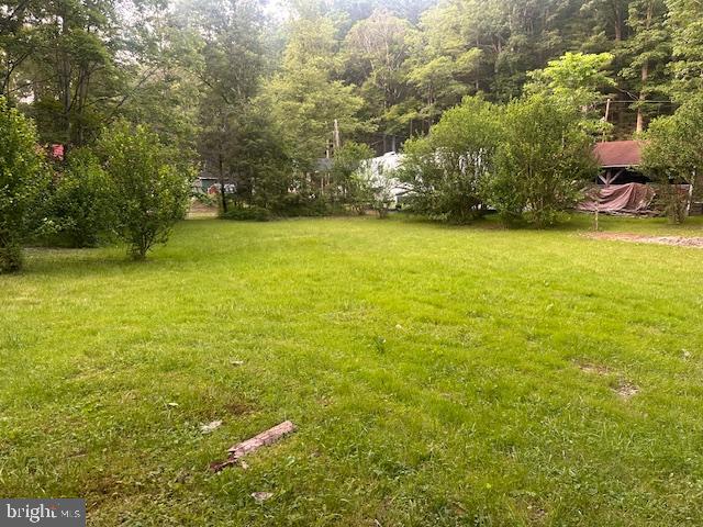 270 Pharr Road Everett, PA 15537 - Photo 18 of 40 a view of a yard with an outdoor space